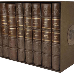 Sapkowski - The Witcher Complete Series, Leather Binding