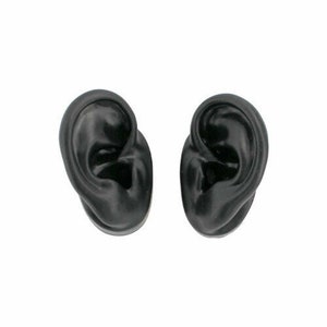 Silicone Ear Model (Pair)