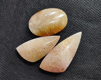 Genuine Fossil Coral Cabochons Set - Indonesia Gemstones for DIY Jewelry