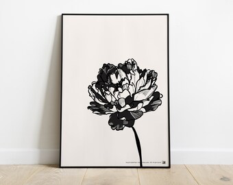 Peony, printed illustration for decoration