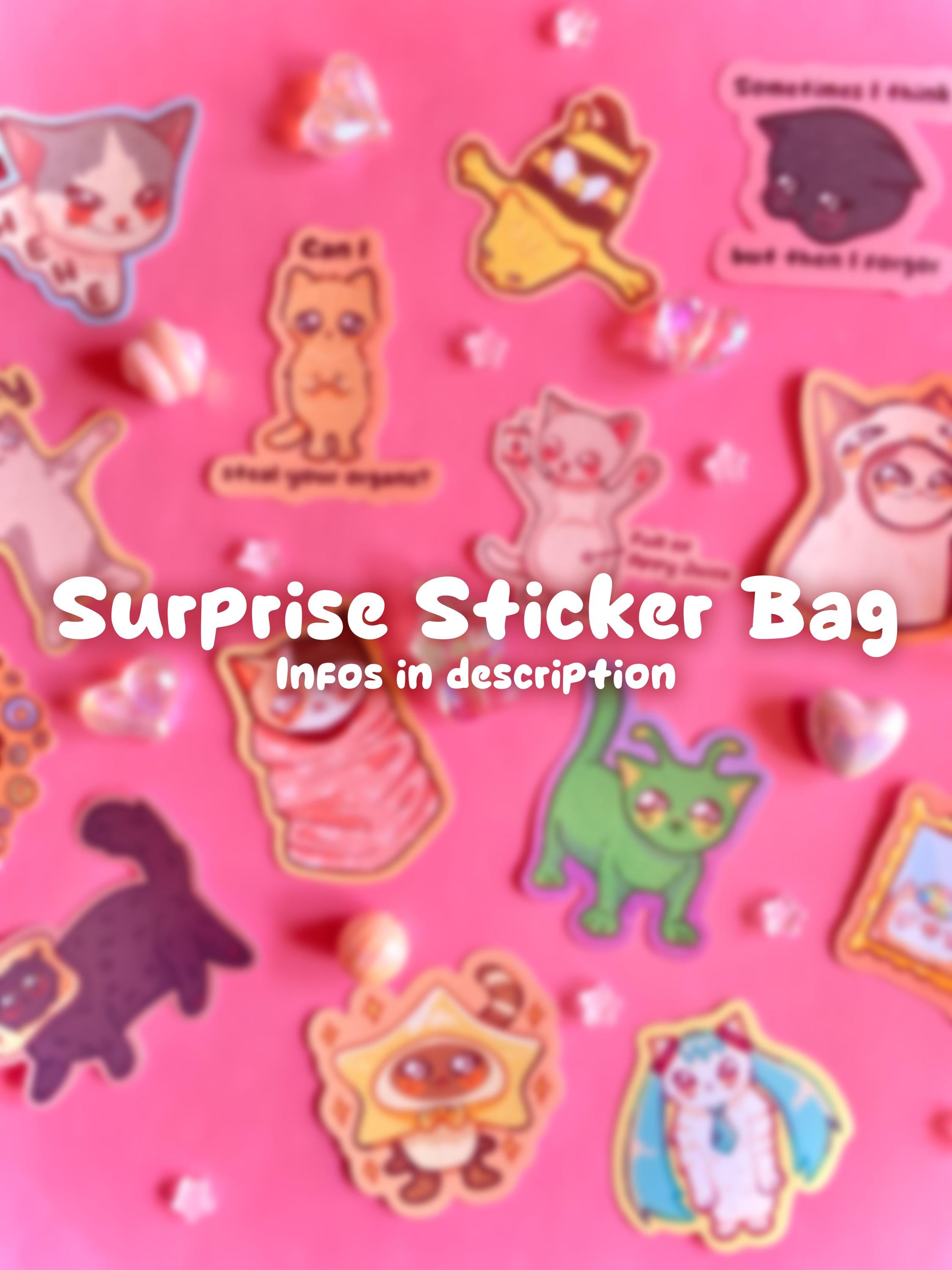 Surprise Vinyl Sticker Bag