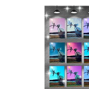 May include: Nine framed art prints featuring a whimsical fairy design. Each print showcases a silhouette of two fairies perched on a branch, set against a colorful landscape. The prints are displayed on a brick wall with overhead lighting.