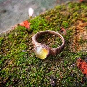 Puede incluir: Un anillo vintage con una piedra amarilla engastada en una banda plateada, descansando sobre un lecho de musgo verde.