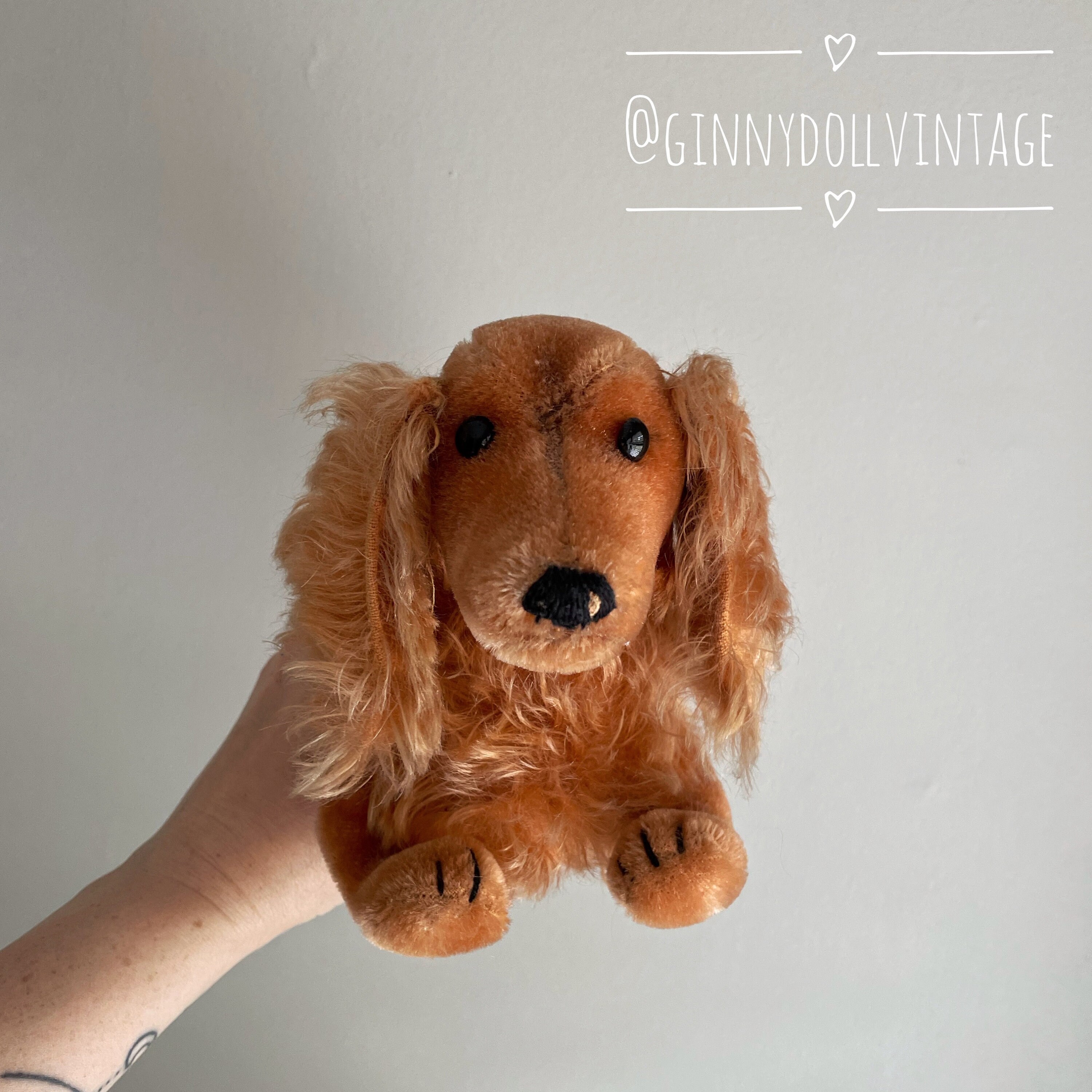 アンティーク シュタイフ ダックスフント Steiff Waldi 17cmサイズ