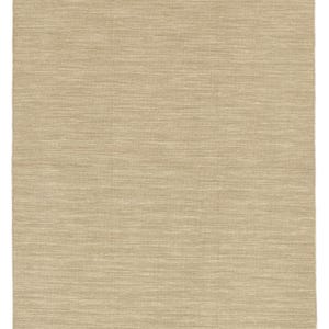 May include: A beige area rug with a subtle woven texture. The rug has a light, neutral colour and a smooth, even surface.