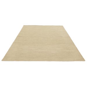 May include: A light beige rectangular rug with a subtle woven texture.