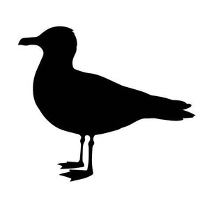 Peut inclure: Silhouette noire d'une mouette avec ses ailes déployées, debout sur deux pattes.