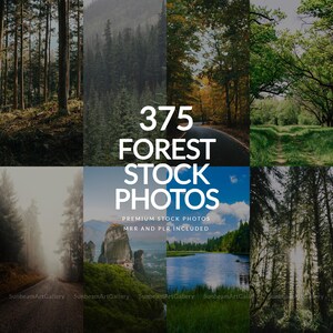 May include: A digital collage of eight distinct forest scenes featuring trees, roads, mountains, and a lake. The central white text reads 375 FOREST STOCK PHOTOS, PREMIUM STOCK PHOTOS, MRR AND PLR INCLUDED. The images display various lighting and foliage.