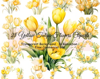 May include: 28 watercolor illustrations of yellow tulips with green leaves. The tulips are arranged in various bouquets, wreaths, and single stems. The background is transparent.