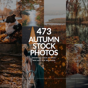 May include: A collage of autumn-themed stock photos. The images include a dog in fall leaves, a road, a lake, and a horse. Text overlay reads "473 AUTUMN STOCK PHOTOS PREMIUM STOCK PHOTOS MRR AND PLR INCLUDED."