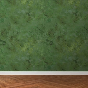 May include: A green wall with a subtle floral pattern and a white skirting board. The wall is textured and has a distressed look. The floor is made of wood planks in a herringbone pattern.