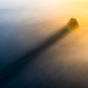 May include: Aerial view of a lone tree casting a long shadow across a field. The scene is bathed in a gradient of colors, transitioning from deep blue to golden yellow, creating a serene and atmospheric landscape.