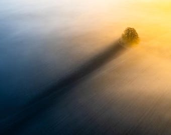 受賞歴のある写真プリント、ミニマリストの朝霧ウォールアート、ブライトウェル・バローのドローン写真、ロングシャドウの日の出風景