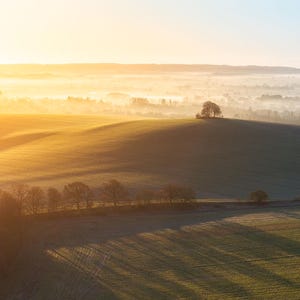 May include: A scenic landscape bathed in golden sunlight. Rolling green hills are cast in long shadows, with a line of trees at the base of the hills. A single tree stands atop the highest hill, and a hazy mist fills the valley.