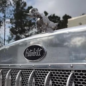 May include: A polished chrome truck hood ornament shaped like a duck, mounted on a Peterbilt truck hood. The front features a black oval emblem with the white text Peterbilt, positioned above a metallic silver grille with a repeating mesh pattern.
