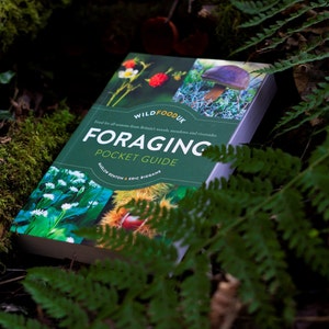 Wild Food UK Foraging Pocket Guide