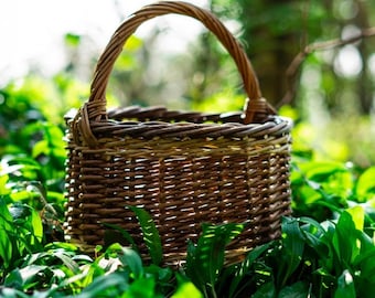 Small Foragers Willow Basket