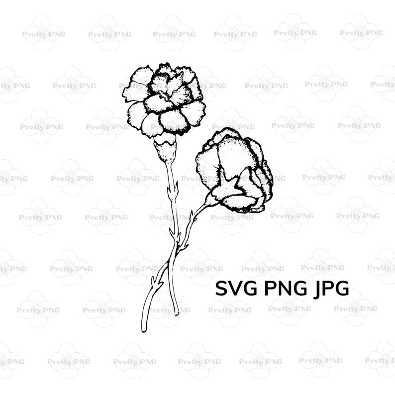 Carnation Svg Png Jpg Files for Cricut Canva and Crafting - Etsy