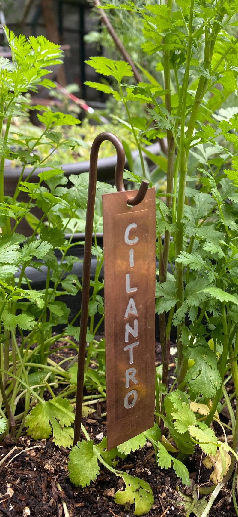 Solid Copper Garden Plant Tags Markers Labels With Copper Stakes Set of