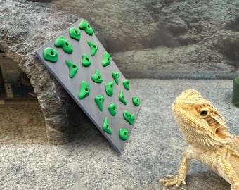 Mini-klippvägg för reptiler – Människoinspirerad klättervägg för skäggagamlar, geckos och små husdjur – Rolig och unik habitatberikning
