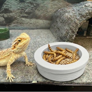 No Escape-voerbak voor reptielen – perfect voor wormen, meelwormen en insecten – ideaal voor baardagamen, gekko’s en kleine huisdieren