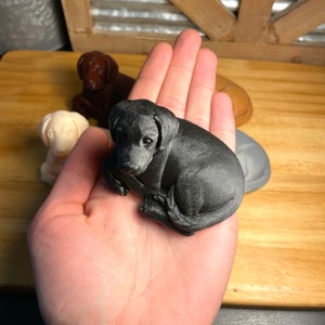 May include: A black, 3D printed, miniature dog figurine in a curled up position. The figurine is sitting in the palm of a person's hand.