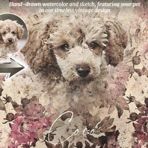 A hand-drawn watercolor sketch of a pet, styled in a timeless vintage design—highlighting our artistic custom work at ArtiqueWorks. Expert Photoshop Services, Photo Edit Service, Photo Retouching, Photo Restoration, Add Person to Photo, Remove Person from Photo, Retouch.