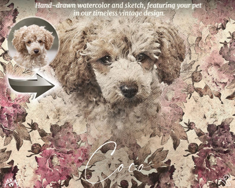 A hand-drawn watercolor sketch of a pet, styled in a timeless vintage design—highlighting our artistic custom work at ArtiqueWorks. Expert Photoshop Services, Photo Edit Service, Photo Retouching, Photo Restoration, Add Person to Photo, Remove Person from Photo, Retouch.