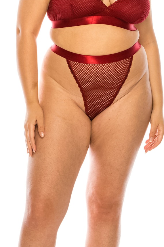 High Waist Mesh Panties, Plus Size Panties, Women Underwear, Mesh Panties, Sheer  Panties, See Through Panties, High Waisted Panties -  Denmark