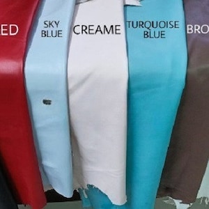 May include: A close-up of eight different coloured leather swatches. The swatches are arranged from left to right: black, red, sky blue, cream, turquoise blue, brown, white, and dark brown.