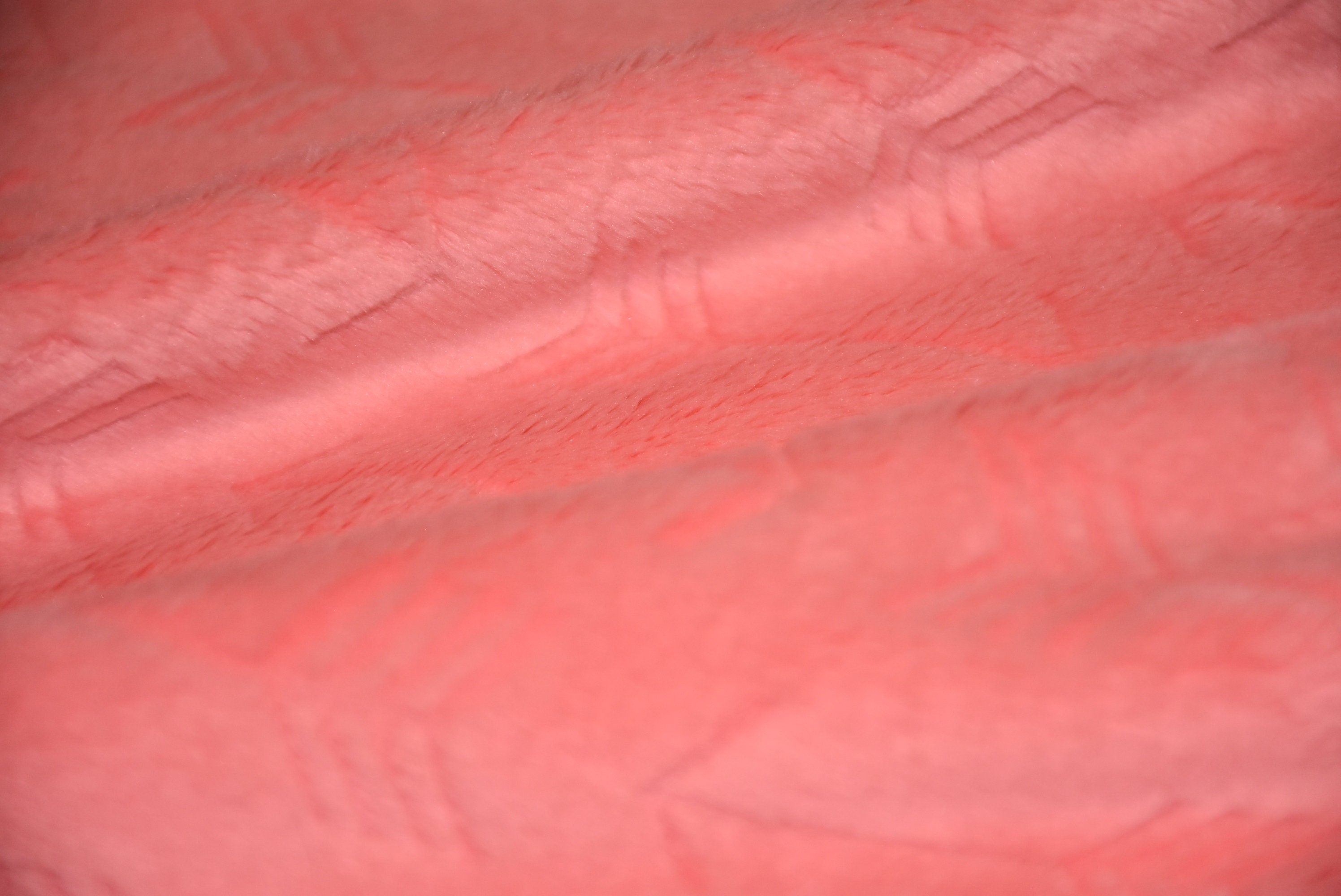 Coral Arrow Embossed Minky Fabriccuddle Fabric Softest Etsy
