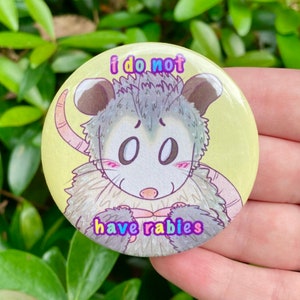 May include: A round button with a cartoon illustration of a possum with the text "i do not have rabies" in rainbow colors.
