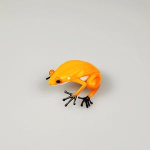 Murano glass frog- poison dart frog - inspired by nature