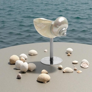 Seashell Martini Glasses - Trending Valentine&#39;s Day Gifts 2025 - Shell Wine Glasses - Wedding Bridesmaid Gifts