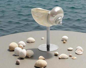 Handcrafted Seashell Martini Glass – Beach Wedding Gift