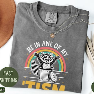 Be in Awe of My _tism Funny T-shirt, Funny Mom Autism Sweatshirt, Meme Autistic Opossum Shirt, Autism Awareness Gift, Funny Meme Crewneck