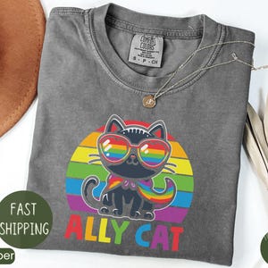 Pride Ally Cat Shirt, Retro Rainbow Colors Cat Ally Shirt, Cat Pride Shirt, Funny Pride Shirt, LGBTQ Shirt, LGBT Gifts, Love is Love T-shirt