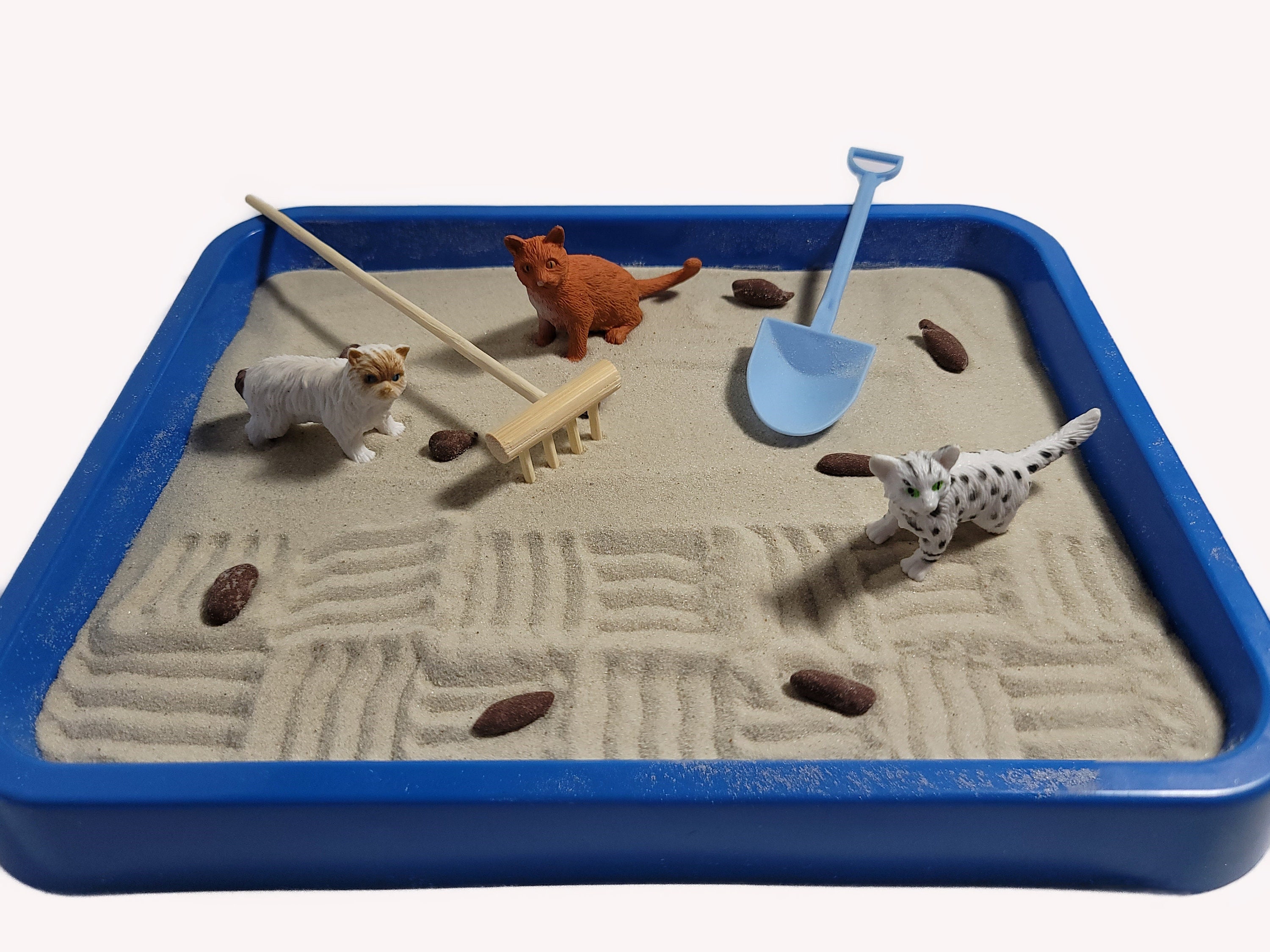Kitty Litter Zen Garden Etsy