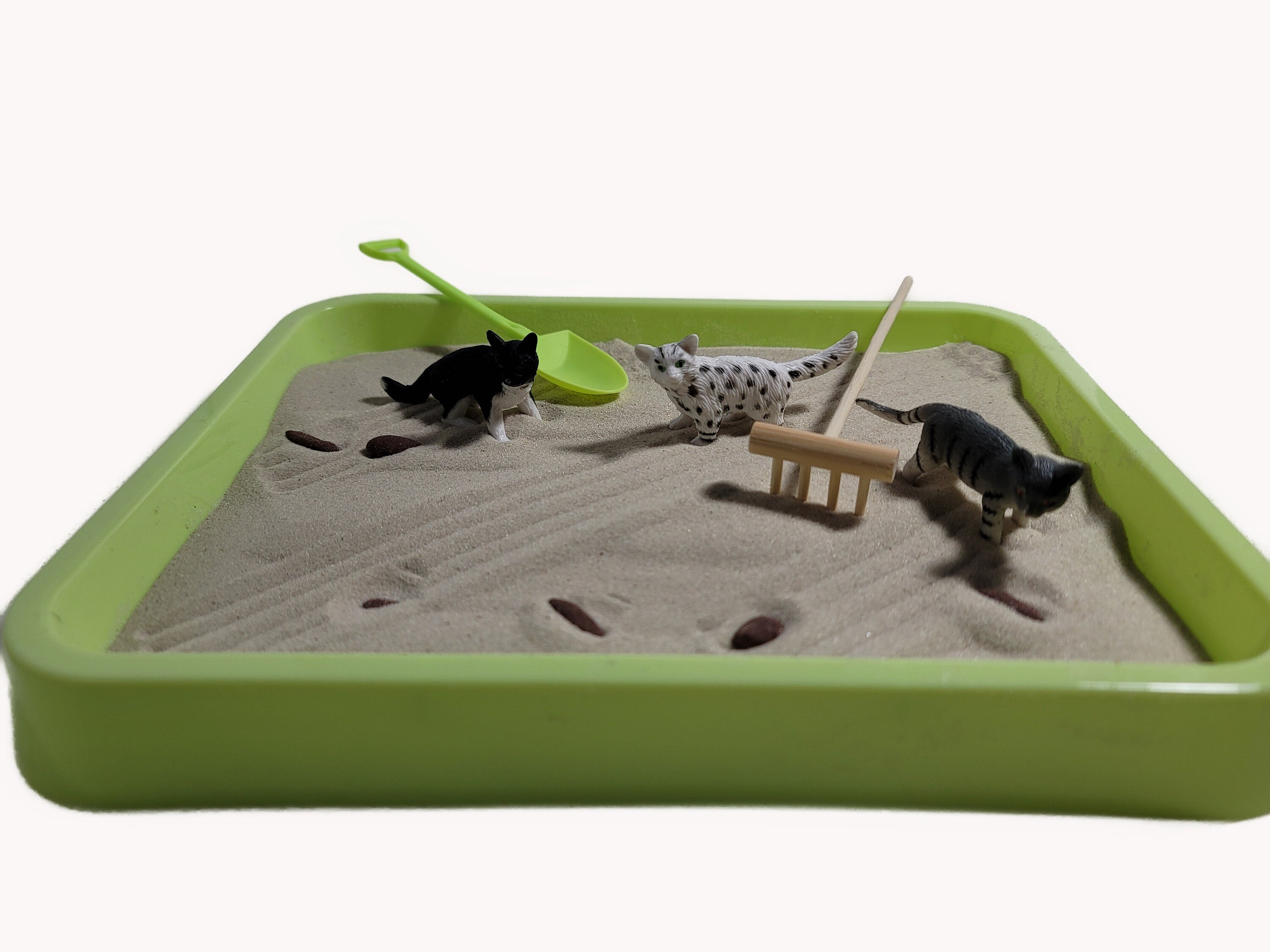 Kitty Litter Zen Garden Etsy
