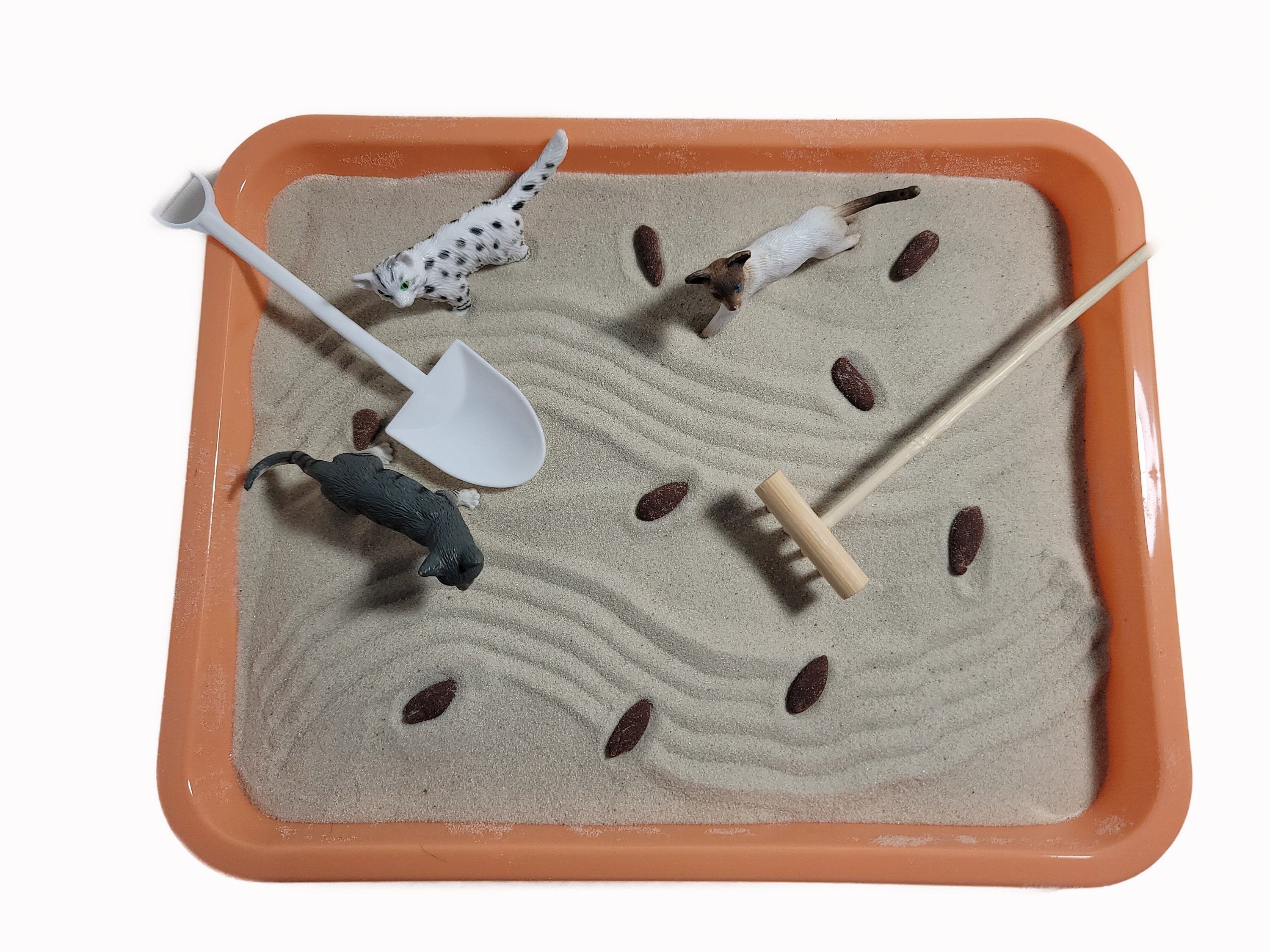 Kitty Litter Zen Garden Etsy