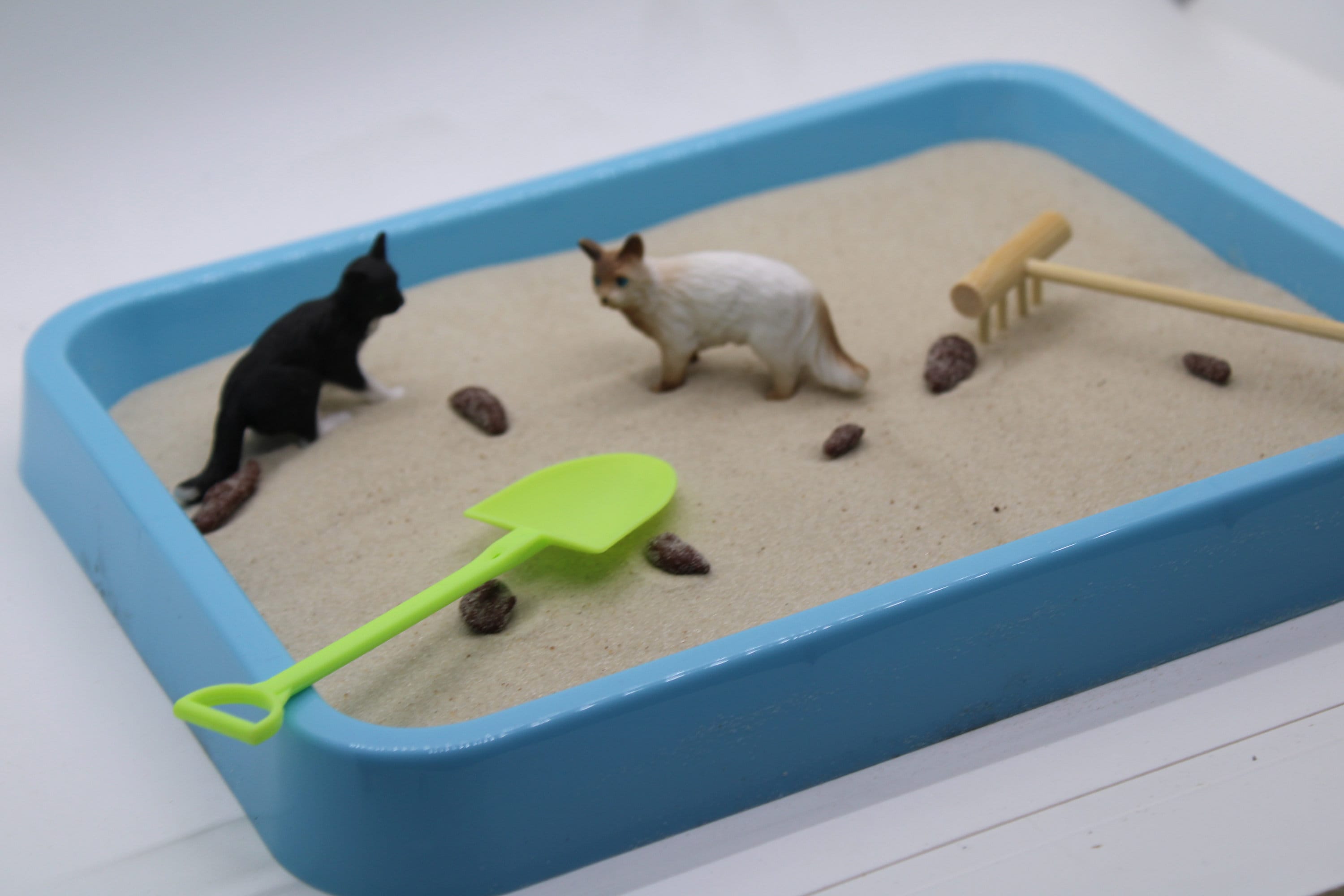 Kitty Litter Zen Garden Etsy