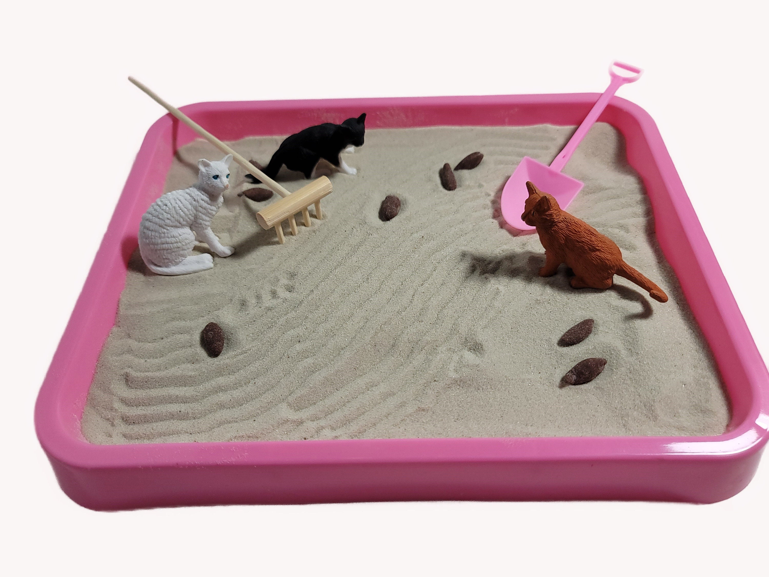 Kitty Litter Zen Garden Etsy