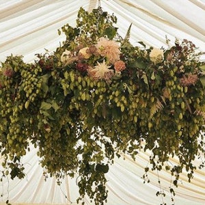 8 ft Floral Chandelier, Heavy-Duty Steel Floral Hoop Wedding Chandelier, Floral Ring, Wedding Decor
