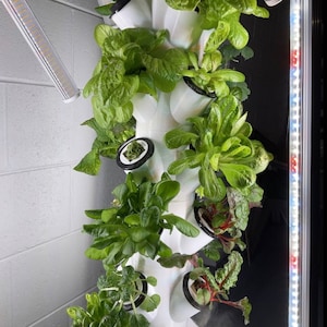Complete Set - 28 Pot Hydroponic Garden Tower 4.5FT - 3D Printed