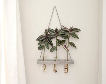 Hanging Wall Propagation Station