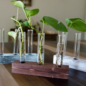 Rustikale Vermehrungsstation | Blumenständer | Reagenzglas-Vase-Halter