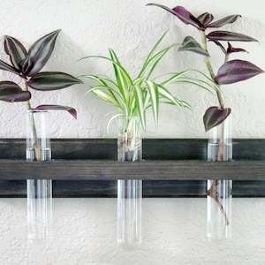 Wall Propagation Station | Mounted Wall Vase Holder | Plant Cutting Display