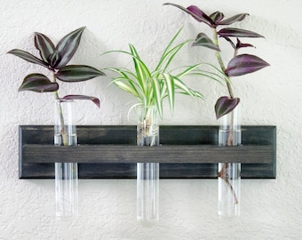 Wall Propagation Station | Mounted Wall Vase Holder | Plant Cutting Display