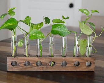 Tabletop Plant Propagation Station | Wood and Glass Vase | Hydroponic Cutting and Flower Vessel