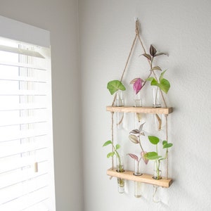 May include: A wooden wall-mounted planter with two shelves and six glass test tubes. The planter is hung with twine and features a variety of green and purple plants.
